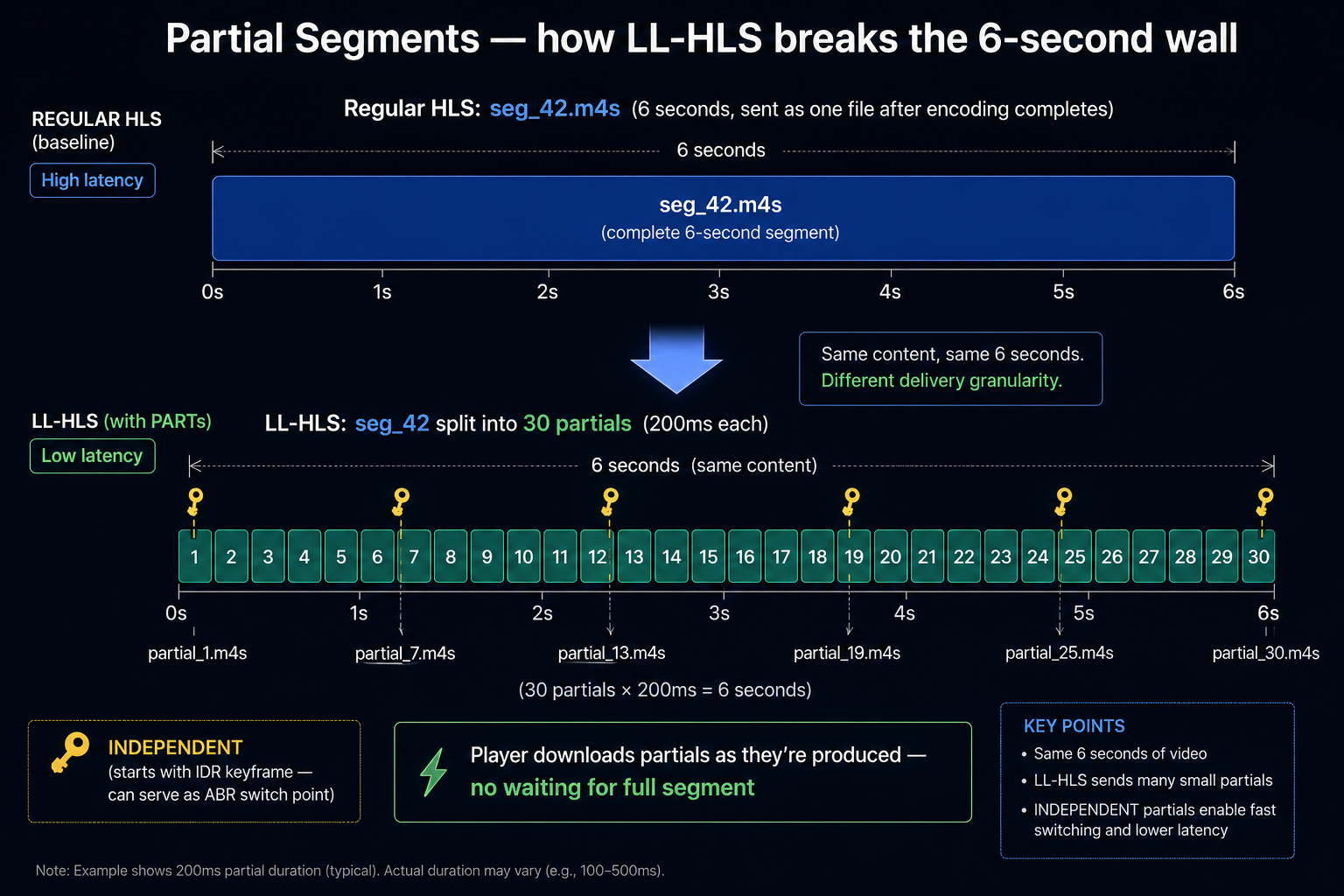 Partial Segment 분할